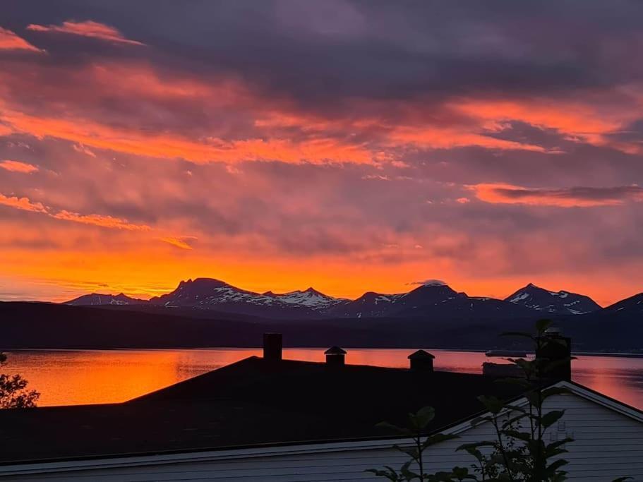 Hoy Standard. Mye For Pengene. Gratis Velkomstgave Narvik Exteriér fotografie